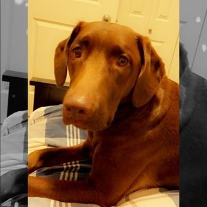 Meet your Posher, Keaton